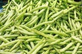 Many green beans, phaseolus vulgaris l.