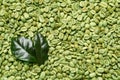 Many green coffee beans and leaves as background, top view Royalty Free Stock Photo