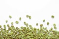 Many green coffee beans on white background, top view Royalty Free Stock Photo