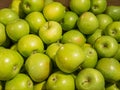 Many green delicious apples in a box in the store Royalty Free Stock Photo