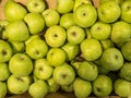 Many green delicious apples in a box in the store Royalty Free Stock Photo