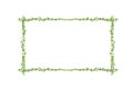 Many Green Ficus pumila leaves and blank Photo frame isolated on