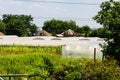 Many greenhouses made with the metal frame and polyethylene film Royalty Free Stock Photo