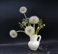 Many half-blossoming and fluffy dandelions in small ceramic jug Royalty Free Stock Photo