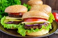 Many hamburgers at home (bun, tomato, cucumber, onion rings, lettuce, pork chops, cheese) Royalty Free Stock Photo