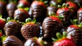 Many hand dipped chocolate covered strawberries in a row with shallow depth of field