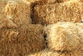 Many hay bales outdoors on sunny day, closeup Royalty Free Stock Photo