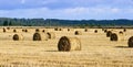 Many haycocks in the field