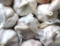 Bulk Garlic gloves in pattern Royalty Free Stock Photo