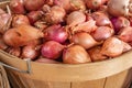 Many heads of red onions in a wooden box. Tropea sweet red onion on display for sale in local market Royalty Free Stock Photo