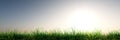 Green grass and blue sky, meadow under the sky, glade from above, grass meadow