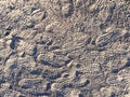 hiking boot marks and shoe tread prints in the desert trail sand Royalty Free Stock Photo