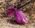 Pink bag of dog waste discarded along a hiking trail