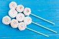 Many home apple marshmallows are strung on sticks and lie in a row on blue boards, the concept of a holiday and dessert, a top vie