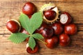 Many horse chestnuts and leaf on wooden table, flat lay Royalty Free Stock Photo
