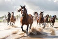 Many horses running. Royalty Free Stock Photo