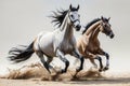 Many horses running. Royalty Free Stock Photo