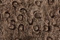 Many horseshoe marks in the sand in horse arena Royalty Free Stock Photo