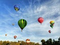 Many hot air balloons flying over trees at Balloons over Waikato Festival