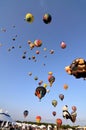 Many hot air balloons shortly after launching