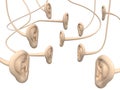 Many human ears linked