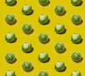 Many iceberg lettuce on a solid yellow background pattern Royalty Free Stock Photo