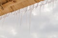 Many icicles melt on the wooden roof with water drops. Spring is comming. Royalty Free Stock Photo