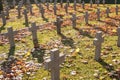 Many identical gray crosses in polish military cemetery. autumn and sunset of life. struggle for congregation and independence of Royalty Free Stock Photo