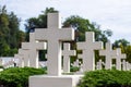 Many identical white crosses on cemetery