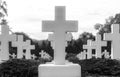 Many identical white crosses on the cemetery.