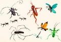 Many insects hand painted on cream colored paper