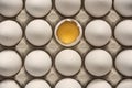 Many intact eggs and one broken egg shell with visible egg yolk, vitellus. Royalty Free Stock Photo