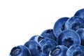 Many juicy and fresh blueberries on white background