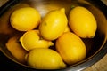 many juicy lemons lie in metal bowl