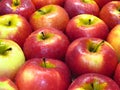 Many juicy red ripe apples covered with water drops background. Sweet crisp eating raw. Wallpaper or background.