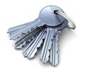 Many keys Royalty Free Stock Photo