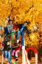 Many kids on climbing frame Royalty Free Stock Photo