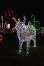 Many kind of animal shape lighting decorated in Christmas Festival at Park