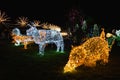 Many kind of animal shape lighting decorated in Christmas Festival at Park