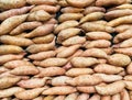 Many Kumara Sweet Potatoes For Sale in Shop Royalty Free Stock Photo