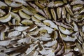 Many large porcini mushrooms dry near the fire in the old wooden house of shepherds in mountains