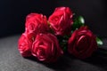 Many large red roses on the fabric Dramatic tone