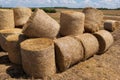 Many large rolls of straw on farmland, harvesting