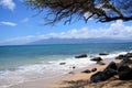 Many Lave rocks tree on top of photo with Mountains on a ocean in Hawaii Royalty Free Stock Photo