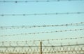 Barbed wire fence. Locked lock in or out. Freedom concept Royalty Free Stock Photo