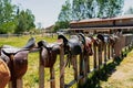 Many leather saddles on wooden fence and ready to put on the horseback Royalty Free Stock Photo