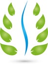 Many leaves, naturopath and physiotherapy logo