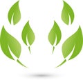 Many leaves, plants, nature and wellness logo