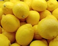 Many lemon colour full and sour