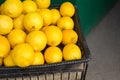 Many Lemons in a basket Royalty Free Stock Photo